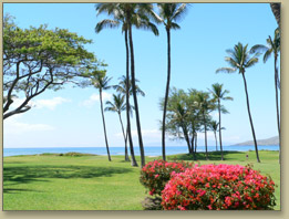 Maui Condos, Central Kihei