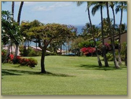 Maui Condos, Wailea