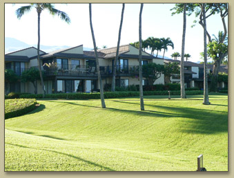 Maui Condo Rental, Wailea Elua