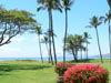 Maui Vacation Rentals at Leinaala