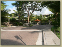 Maui Condo Rentals At Hoolei 