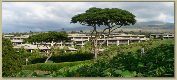 Maui Condos In Wailea