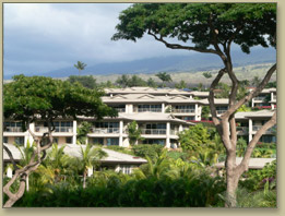 Beachfont Maui Condos For Rent
