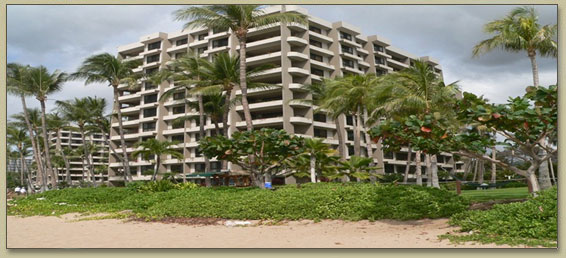 Maui Condos In Kaanapali