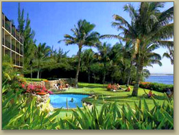 Maui Condo Rentals At Maalaea Banyans 