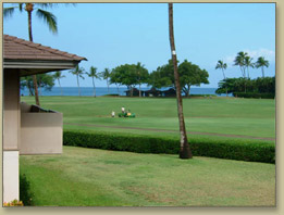 Maui Condo Rentals At Maui Kaanapali Villas