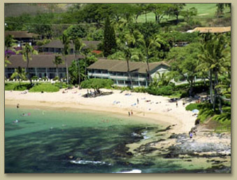 Maui Condos On Napili Beach