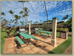 Maui Condo Rentals Pool