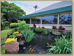 Maui Condo Rentals Pool