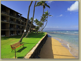 Maui Condo Rentals At Papakea Resort 