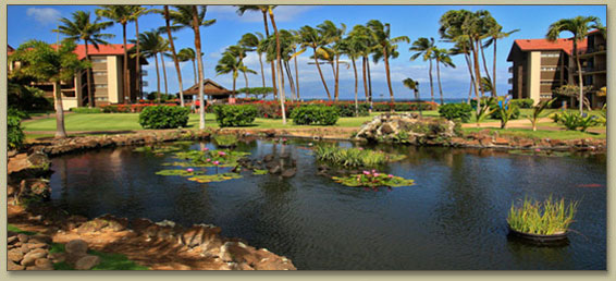 Maui Condos On North Kaanapali Beach