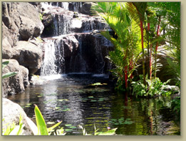 Maui Condo Rentals At Wailea Beach Villas