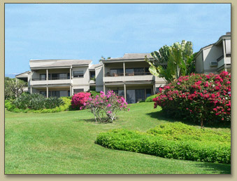 Maui Condo, Wailea Ekolu